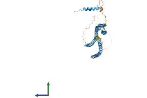 AlphaFold protein structure predicition of Mouse Recombinant Stx18 Protein, UniprotID Q8VDS8
