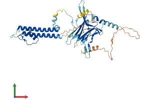 AlphaFold protein structure predicition of Mouse Recombinant Kcnj16 Protein, UniprotID Q9Z307
