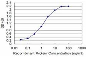 Detection limit for recombinant GST tagged T is approximately 0. (T Brachyury Protein (AA 222-320) anticorps)