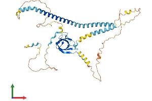 AlphaFold protein structure predicition of Mouse Recombinant Pex13 Protein, UniprotID Q9D0K1