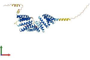 AlphaFold protein structure predicition of Mouse Recombinant Ttc23 Protein, UniprotID Q8CHY7