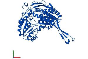 AlphaFold protein structure predicition of Human Recombinant ALDH9A1 Protein, UniprotID P49189