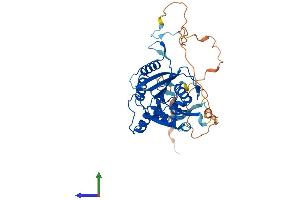 AlphaFold protein structure predicition of Human Recombinant METTL22 Protein, UniprotID Q9BUU2