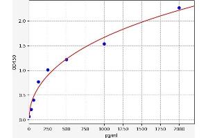 delta-Like 1 (DLL1) ELISA Kit