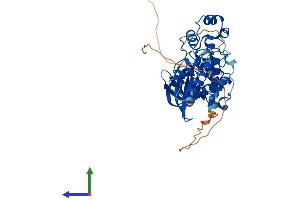 AlphaFold protein structure predicition of Human Recombinant MAPK10 Protein, UniprotID P53779