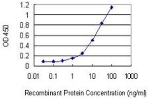 anti-Par-3 Partitioning Defective 3 Homolog (PARD3) (AA 181-290) antibody
