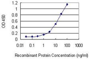 Detection limit for recombinant GST tagged PARD3 is 0. (PARD3 anticorps  (AA 181-290))