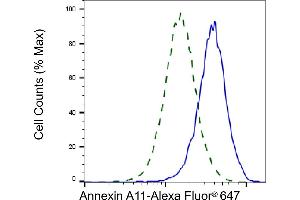 Validation of Annexin A11 knockdown using flow cytometry. (Annexin A11 anticorps)