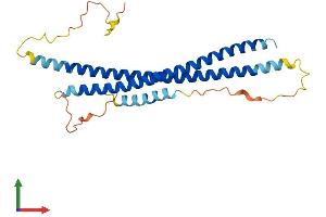 AlphaFold protein structure predicition of Human Recombinant SNAP29 Protein, UniprotID O95721