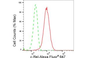 Flow cytometric analysis of c-Rel expression in HepG2 cells using c-Rel antibody (ABIN7800166), 1:2,000). (Recombinant c-Rel anticorps)