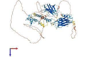 AlphaFold protein structure predicition of Human Recombinant SYTL5 Protein, UniprotID Q8TDW5