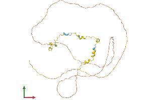 AlphaFold protein structure predicition of Human Recombinant CYLC2 Protein, UniprotID Q14093
