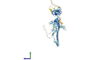 AlphaFold protein structure predicition of Human Recombinant TRIM36 Protein, UniprotID Q9NQ86