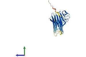 AlphaFold protein structure predicition of Human Recombinant TRIM16L Protein, UniprotID Q309B1