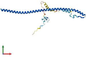 AlphaFold protein structure predicition of Human Recombinant ZC4H2 Protein, UniprotID Q9NQZ6