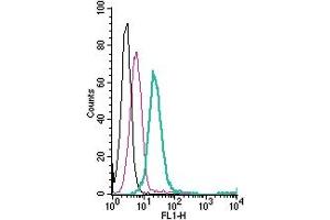 Cell surface detection of KV1.