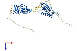AlphaFold protein structure predicition of Human Recombinant KCTD13 Protein, UniprotID Q8WZ19