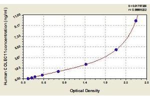 Typical standard curve (COLEC11 Kit ELISA)
