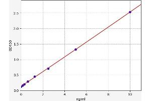 Growth Differentiation Factor 9 (GDF9) ELISA Kit