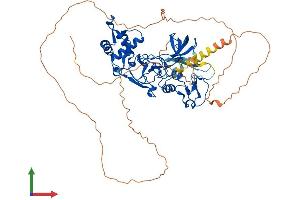 AlphaFold protein structure predicition of Mouse Recombinant Mtf2 Protein, UniprotID Q02395