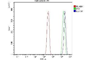Flow Cytometry analysis of SiHa cells using anti-EEF2K antibody (ABIN7600209). (EEF2K anticorps  (AA 162-719))