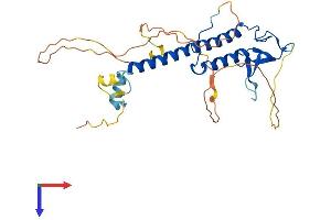AlphaFold protein structure predicition of Human Recombinant RPH3AL Protein, UniprotID Q9UNE2