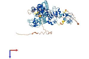 AlphaFold protein structure predicition of Human Recombinant BIRC2 Protein, UniprotID Q13490