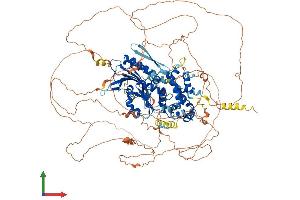 AlphaFold protein structure predicition of Mouse Recombinant Dennd2b Protein, UniprotID Q924W7