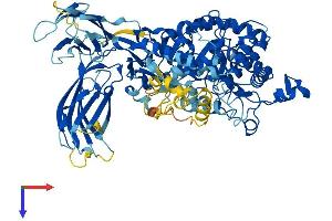 AlphaFold protein structure predicition of Human Recombinant PLA2G4B Protein, UniprotID P0C869