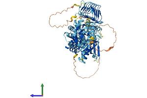 AlphaFold protein structure predicition of Mouse Recombinant Eif2b5 Protein, UniprotID Q8CHW4