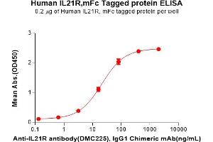 ELISA plate pre-coated by 2 μg/mL (100 μL/well) Human IL21R Protein, mFc Tag(ABIN7092744, ABIN7272296 and ABIN7272297) can bind Anti-IL21R antibody, IgG1 Chimeric mAb in a linear range of 3.
