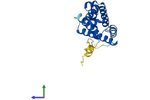 AlphaFold protein structure predicition of Mouse Recombinant Cygb Protein, UniprotID Q9CX80