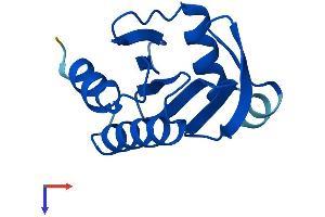 AlphaFold protein structure predicition of Mouse Recombinant Pfn4 Protein, UniprotID Q9D6I3
