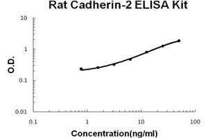Rat Cadherin-2/N-Cadherin PicoKine ELISA Kit standard curve (N-Cadherin Kit ELISA)