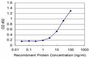 Detection limit for recombinant GST tagged FOXO1A is approximately 1ng/ml as a capture antibody. (FOXO1 anticorps  (AA 556-655))
