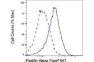 Validation of Paxillin knockdown using flow cytometry. (Recombinant Paxillin anticorps)
