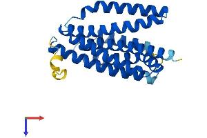 Transmembrane BAX Inhibitor Motif Containing 6 (TMBIM6) (AA 1-237) protein (His tag)