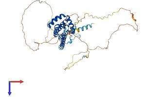AlphaFold protein structure predicition of Mouse Recombinant Bcl2l13 Protein, UniprotID P59017