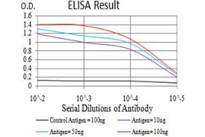 Black line: Control Antigen (100 ng);Purple line: Antigen (10ng); Blue line: Antigen (50 ng); Red line:Antigen (100 ng) (IGHA1 anticorps  (AA 207-353))
