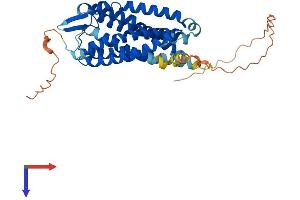 AlphaFold protein structure predicition of Mouse Recombinant P2ry2 Protein, UniprotID P35383