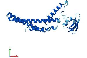 AlphaFold protein structure predicition of Human Recombinant GINS1 Protein, UniprotID Q14691