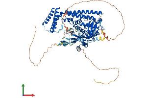 AlphaFold protein structure predicition of Mouse Recombinant Pcif1 Protein, UniprotID P59114