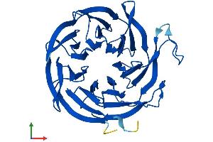 AlphaFold protein structure predicition of Human Recombinant CIAO1 Protein, UniprotID O76071