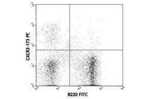 Flow Cytometry (FACS) image for anti-Chemokine (C-X-C Motif) Receptor 3 (CXCR3) antibody (PE) (ABIN2663112) (CXCR3 anticorps  (PE))