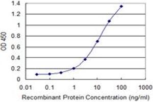 Detection limit for recombinant GST tagged LYPLA1 is 0. (LYPLA1 anticorps  (AA 66-151))