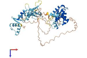 AlphaFold protein structure predicition of Mouse Recombinant Gin1 Protein, UniprotID Q8K259