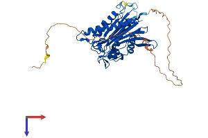 AlphaFold protein structure predicition of Human Recombinant ILKAP Protein, UniprotID Q9H0C8
