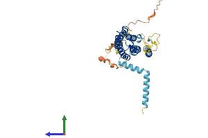 AlphaFold protein structure predicition of Mouse Recombinant Scamp3 Protein, UniprotID O35609