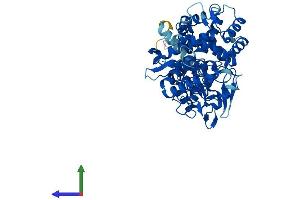 AlphaFold protein structure predicition of Human Recombinant CYP7B1 Protein, UniprotID O75881