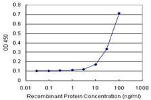 Sandwich ELISA detection sensitivity ranging from 10 ng/mL to 100 ng/mL. (LCK (Humain) Matched Antibody Pair)